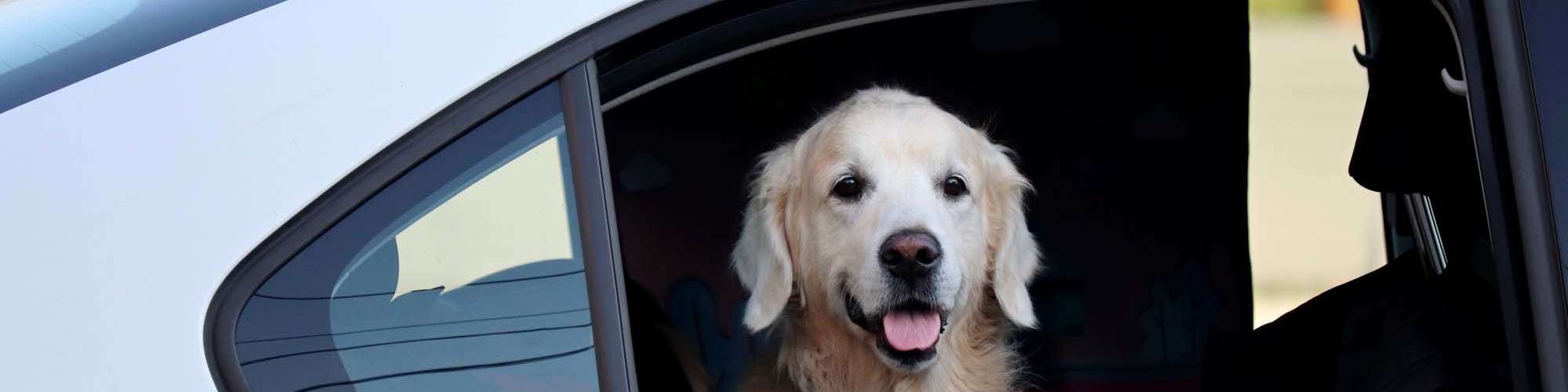 Map + Directions | Metropolitan Park Apartments in Seattle, Washington