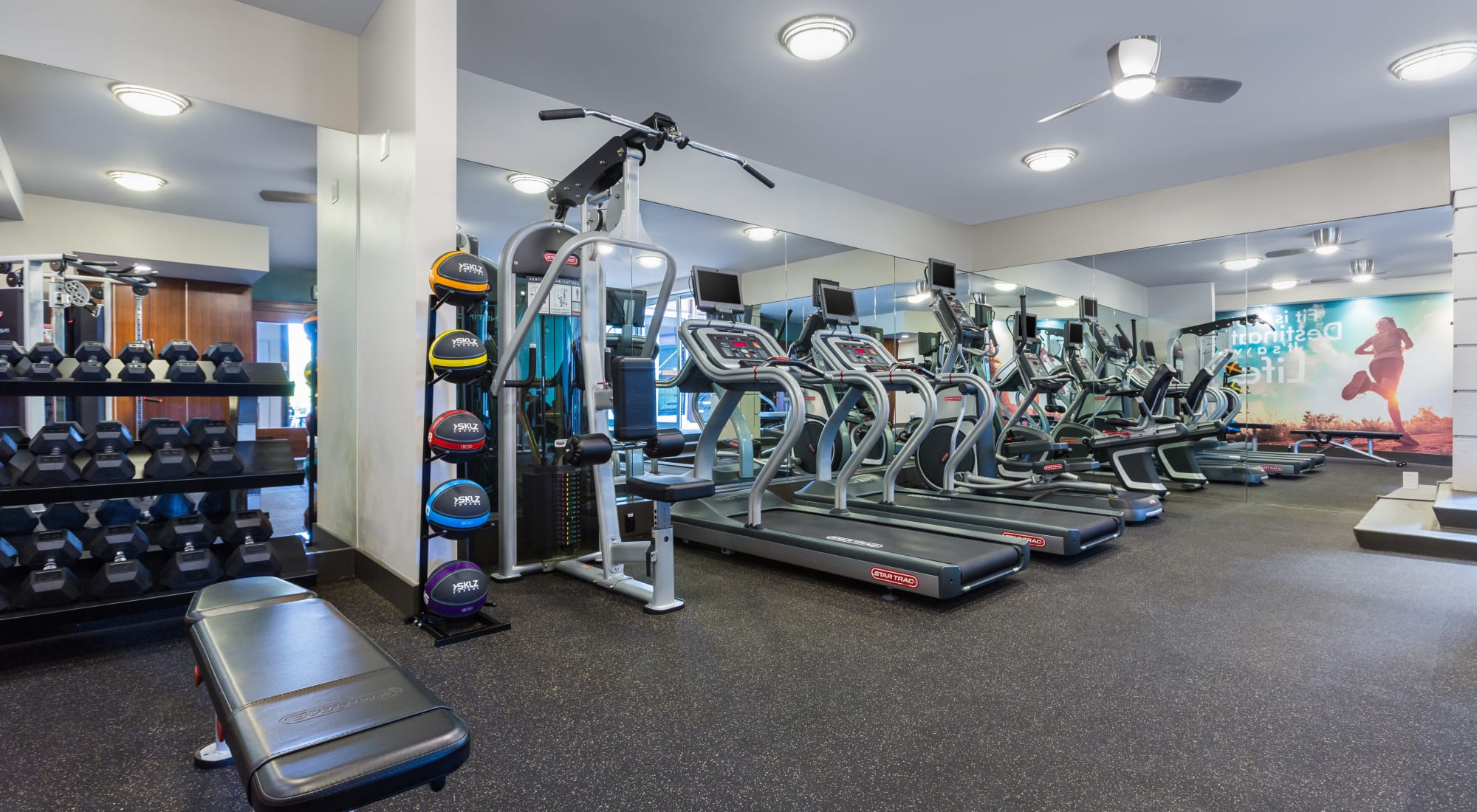 Amenities at Sofi Belmont Glen in Belmont, California