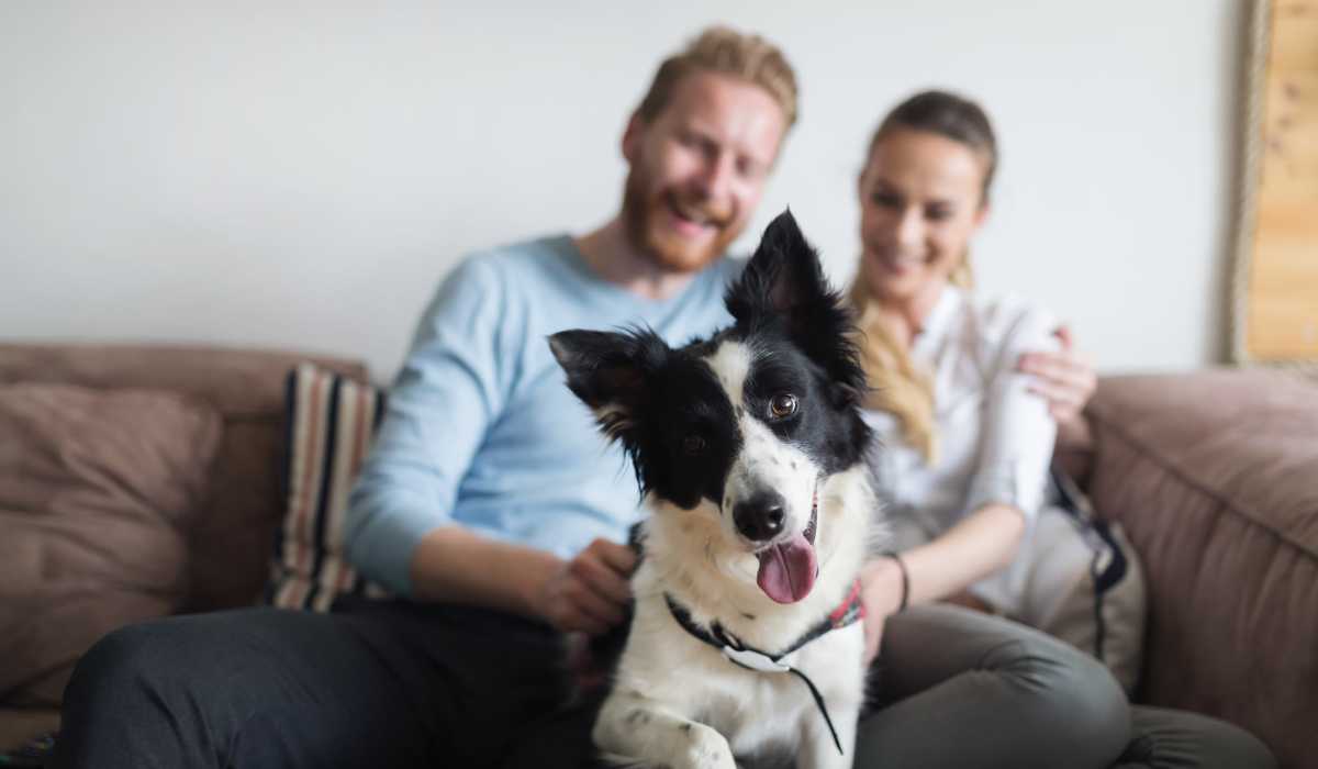 Pet-friendly living at Huron Square and The Osborn in Cleveland, Ohio