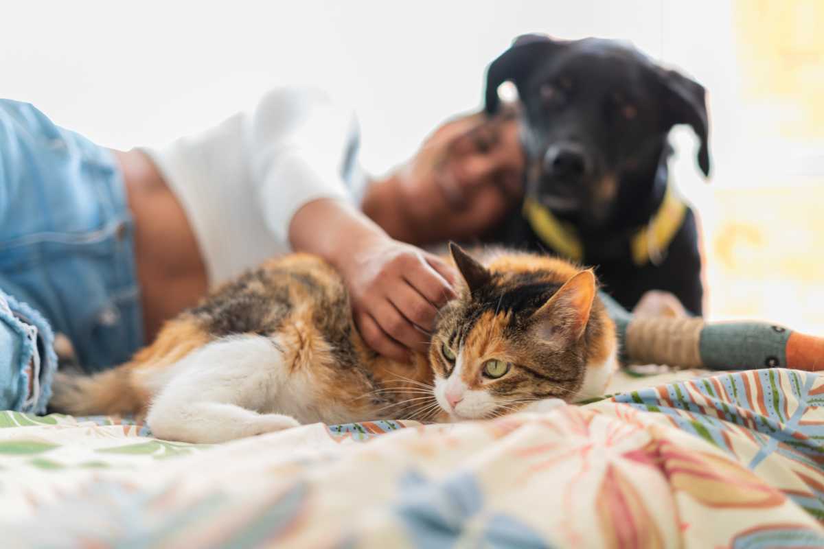 Resident with her pet in her pet friendly apartment at Jacksonville Pines in Jacksonville, Texas