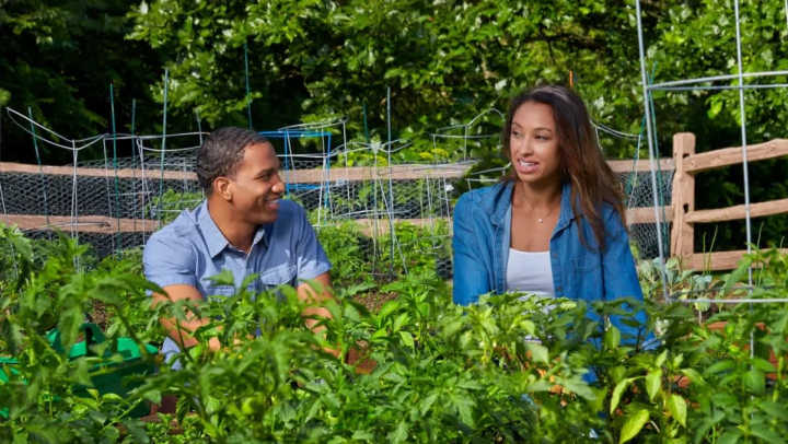 Residents tending a vegetable garden at Auburn Gate in Auburn Hills, Michigan