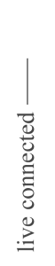 Divider Image