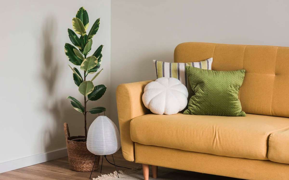 Living room with couch and indoor plant at West Village Apartments in Hillsborough, North Carolina