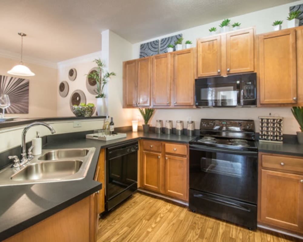 Modern kitchen with black appliances in a model home at Walden at Chatham Center in Savannah, Georgia