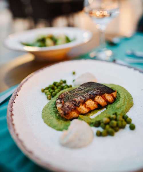 Grilled fish fillet on green puree at The Lofts On First in The Plains, Ohio