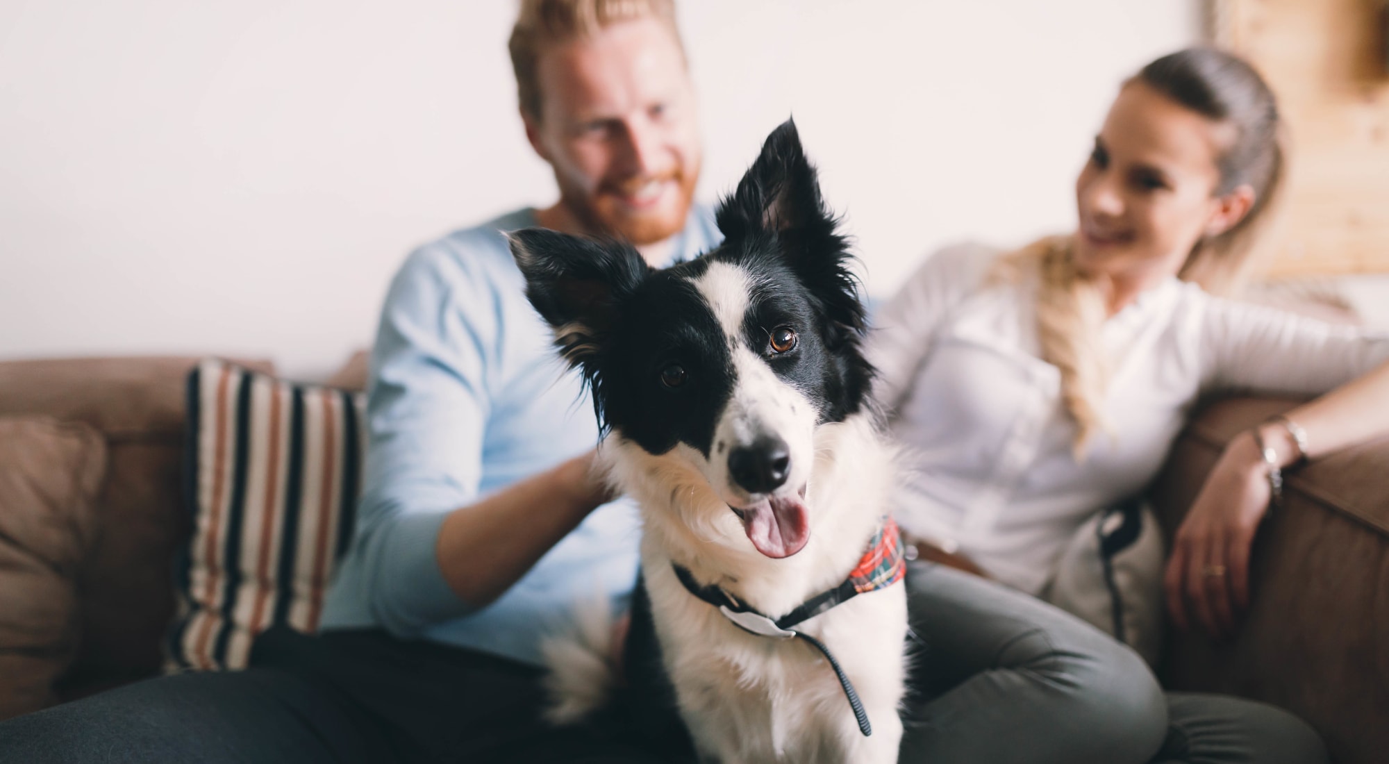 Pet-friendly apartments at Heritage Green in Hilliard, Ohio