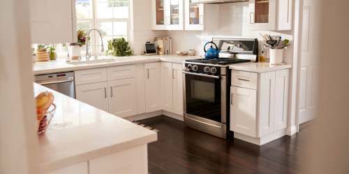 Cozy kitchen with neutral accent and stainless steel appliances at Cypress Trace in Brandon, Florida