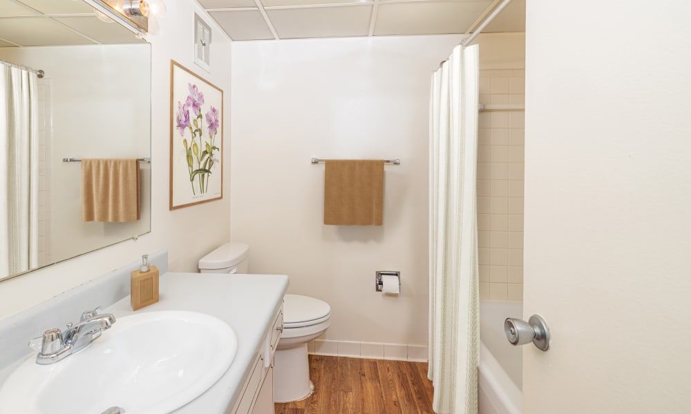 Bright bathroom at The Avalon Apartment Homes in Avalon, Pennsylvania
