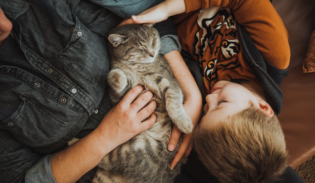 Resident father and son cuddling their cat in their new apartment at Parkside Towns in Richardson, Texas