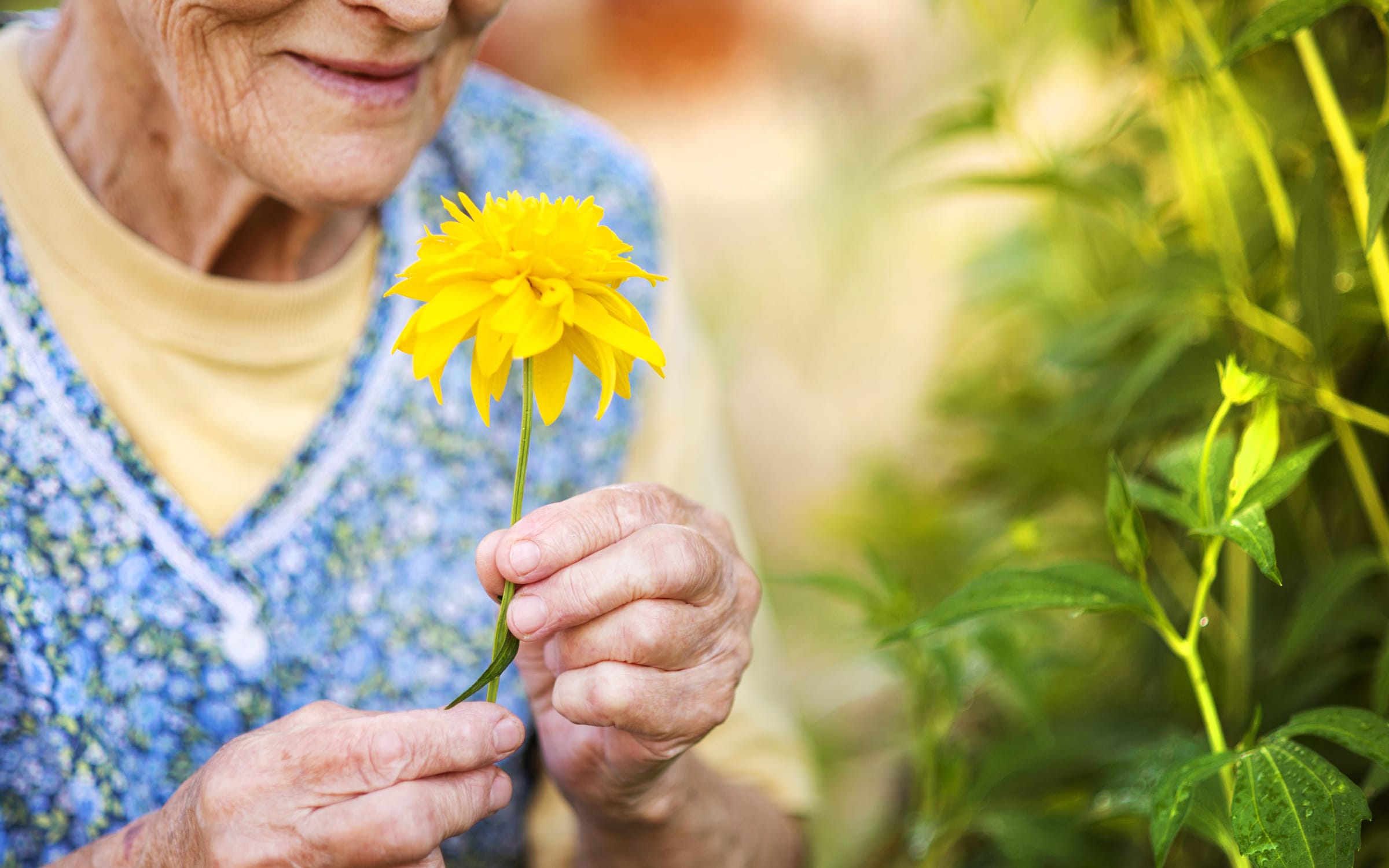 A Holistic Approach to Health and Wellness