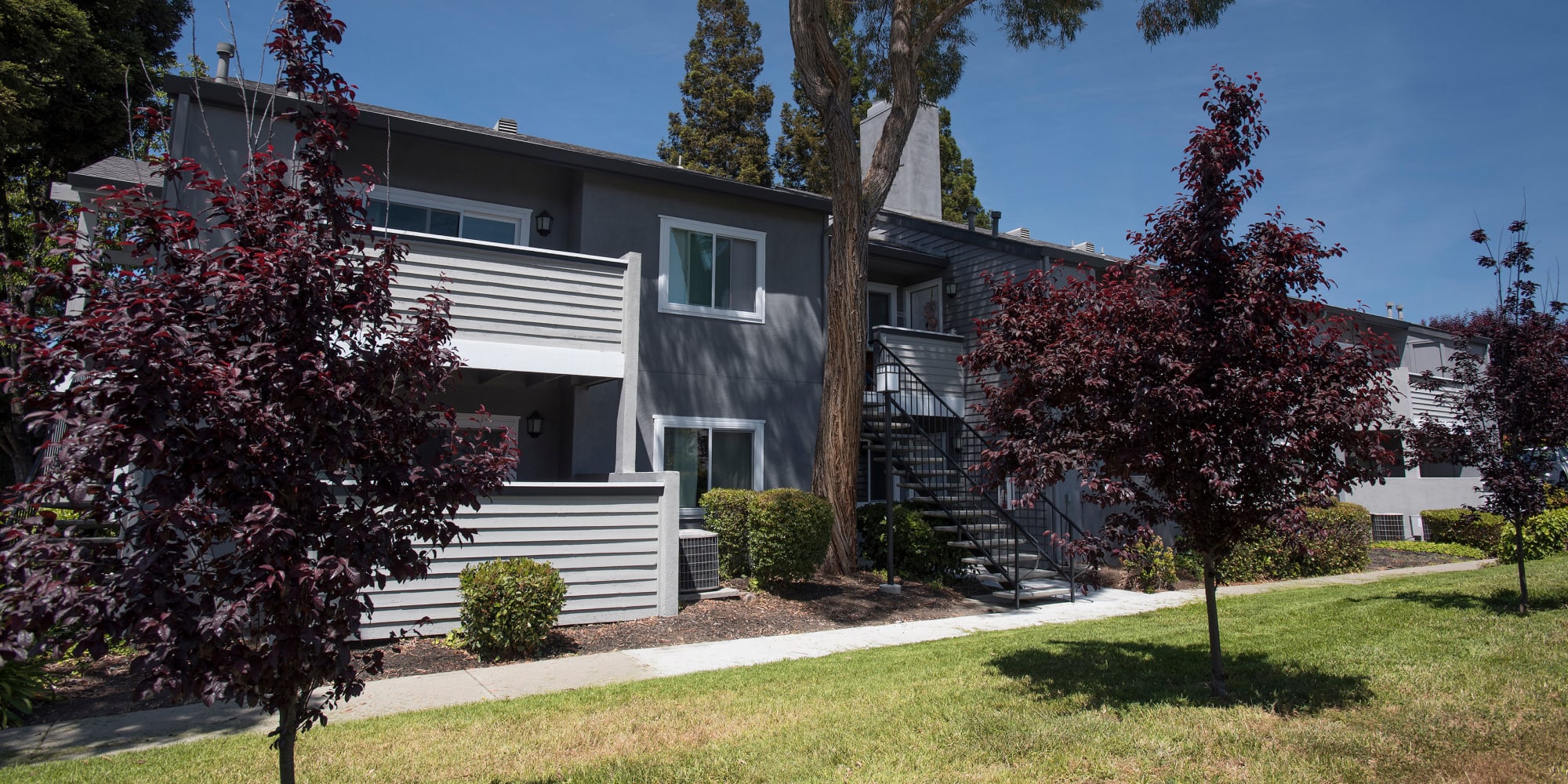 Martinez, California, apartments at Plum Tree Apartment Homes