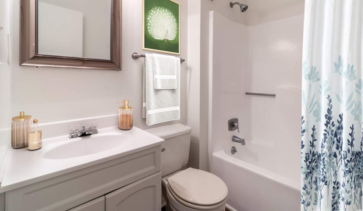 bathroom with blue shower curtain at Tanglewood Apartments in Southern Pines, North Carolina