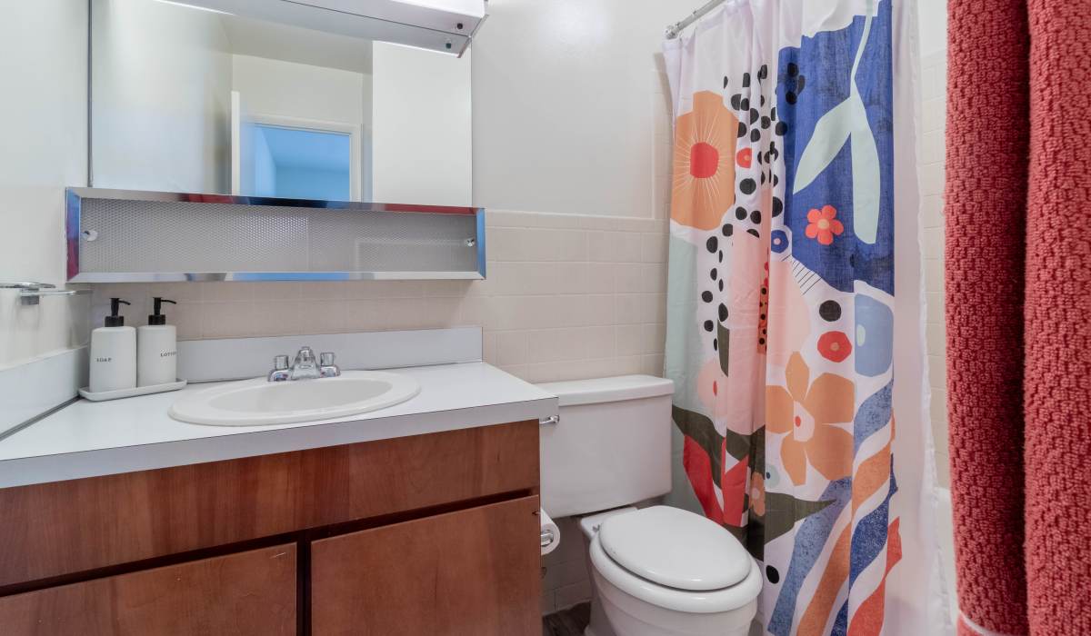 bathroom at Willow Oaks Apartments in Richmond, Virginia
