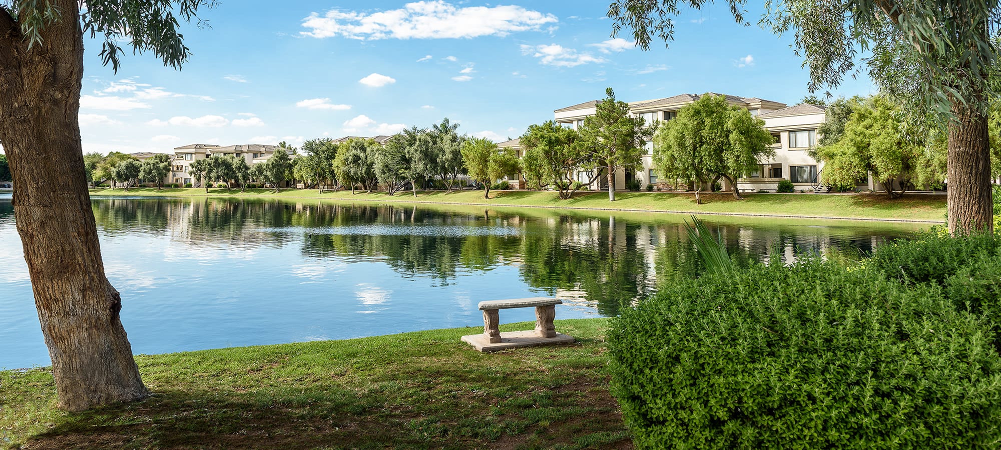 Lakeside view at Waterside at Ocotillo in Chandler, Arizona
