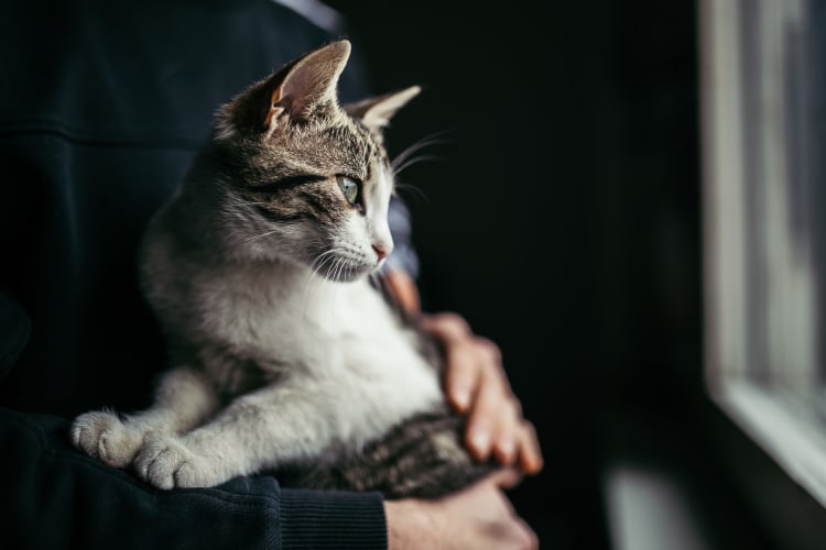 Resident holding their cat at Lullwater at Bass in Macon, Georgia