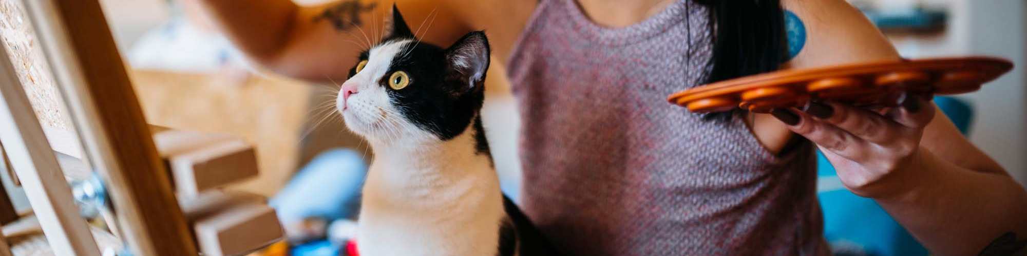 Pet-Friendly | Cable Ranch in San Antonio, Texas