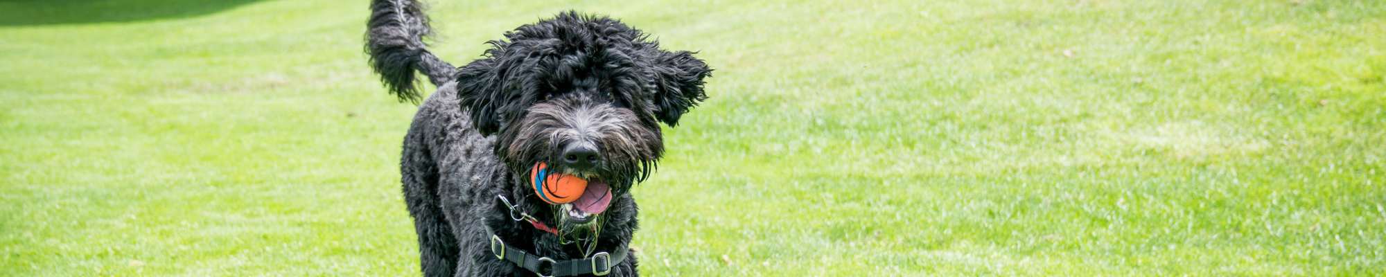 Floor Plans at Oaks Pentagon Village in Edina, Minnesota