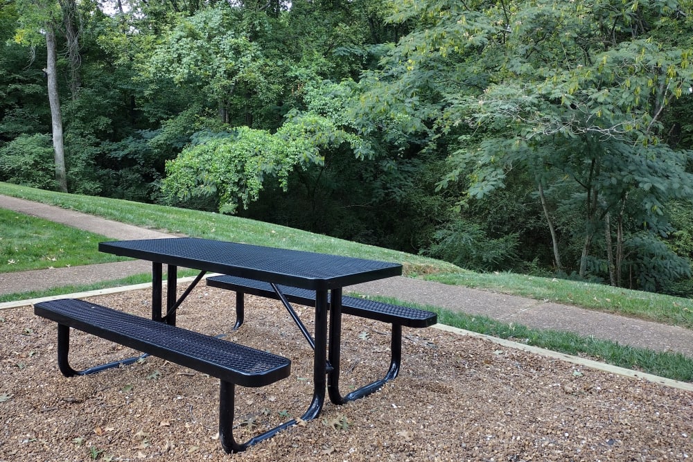 Picnic area at Candlewood Apartment Homes in Nashville, Tennessee