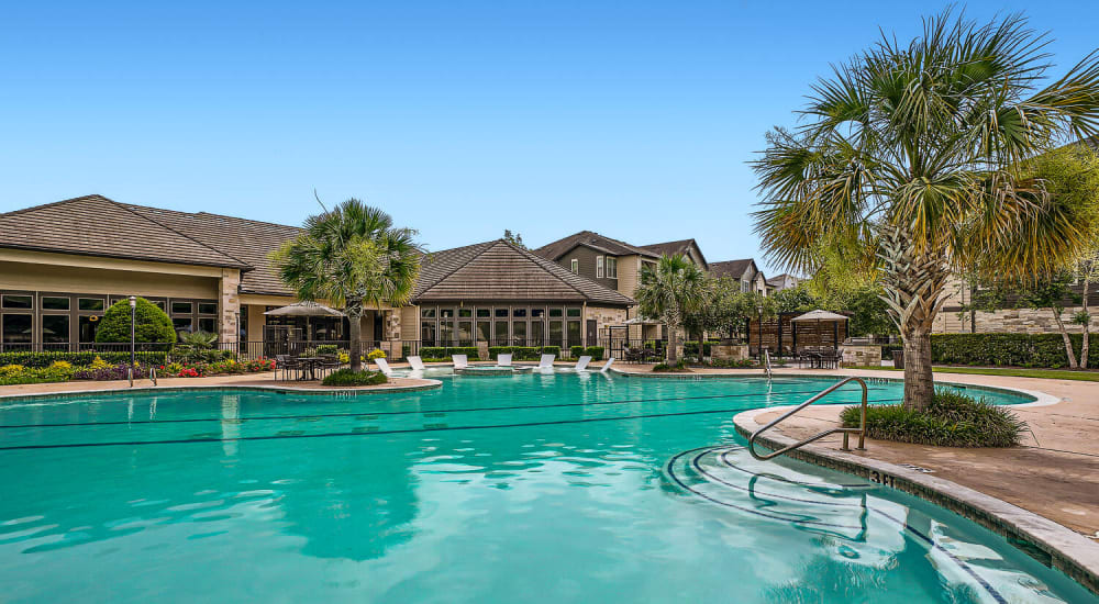 Gorgeous and expansive pool with mature palm trees at Discovery at Kingwood in Kingwood, Texas