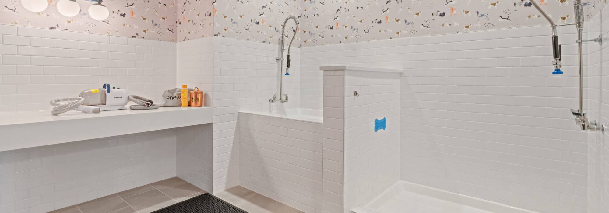 Pet spa at The Guild in Richmond, Virginia