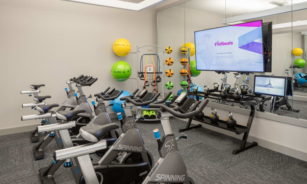 Fitness center with cardio and weights at Bellrock La Frontera in Austin, Texas