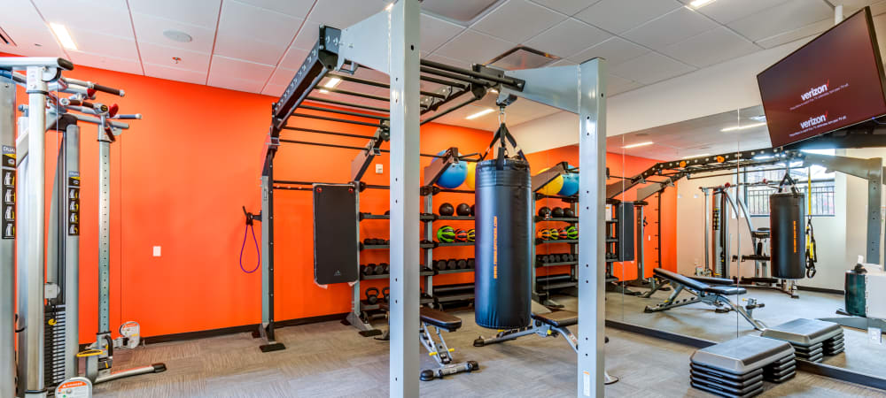 State of the art weights area at Main Street Apartments in Rockville, Maryland
