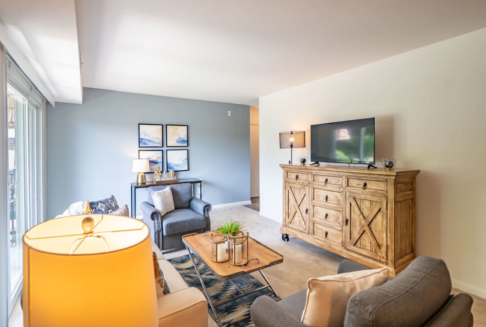 Model living room at Country Village Apartment Homes in Dover, Delaware