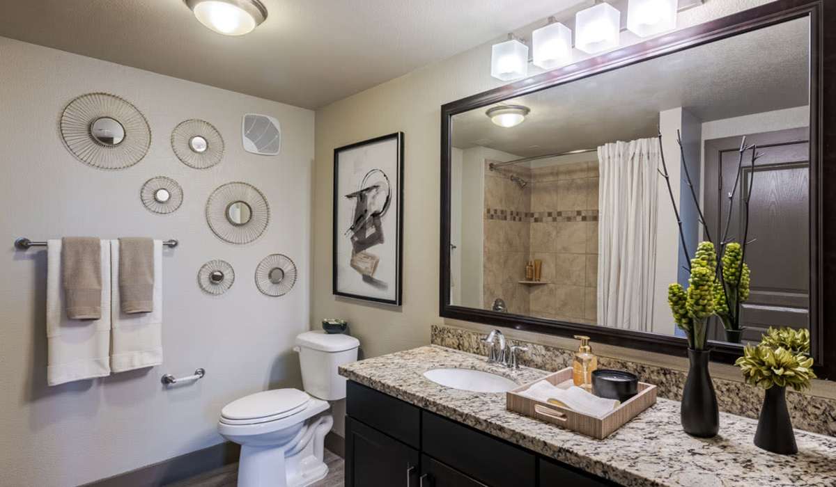 Modern bathroom with tub at Dayrise at Centreport in Fort Worth, Texas