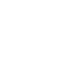 Auro Crossing