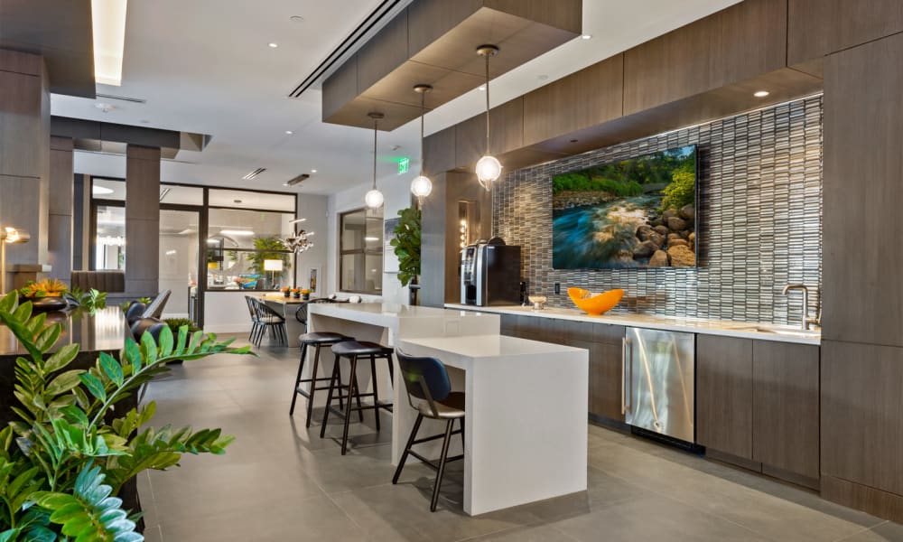 Clubhouse bar and drink area with coffee machines and lots of seating at 6600 Main in Miami Lakes, Florida