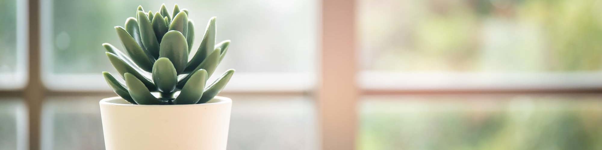 Rental Requirements | Costa Vizcaya in Houston, Texas