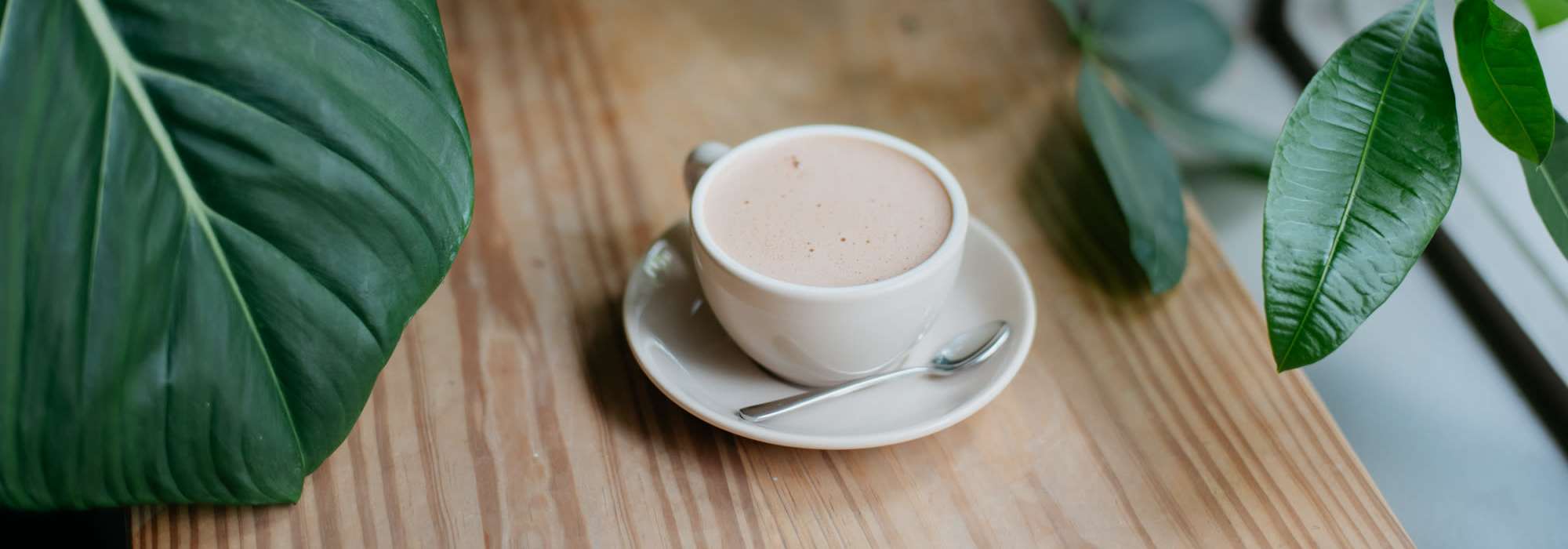 Accessibility statement at The Woodlands Apartments in Sacramento, California