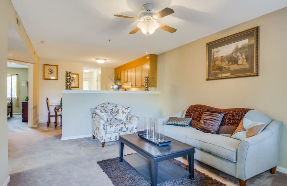 Spacious living room with plush carpeting and natural lighting at Woodbrook Apartment Homes in Monroe, North Carolina