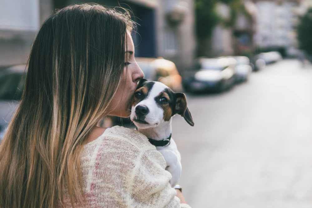 Woman with her dog near Belmont Glen Residences in Belmont, California
