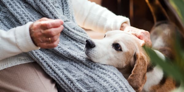 Resident enjoying time with their dog at Transitions At Home - Central in Stevens Point, Wisconsin
