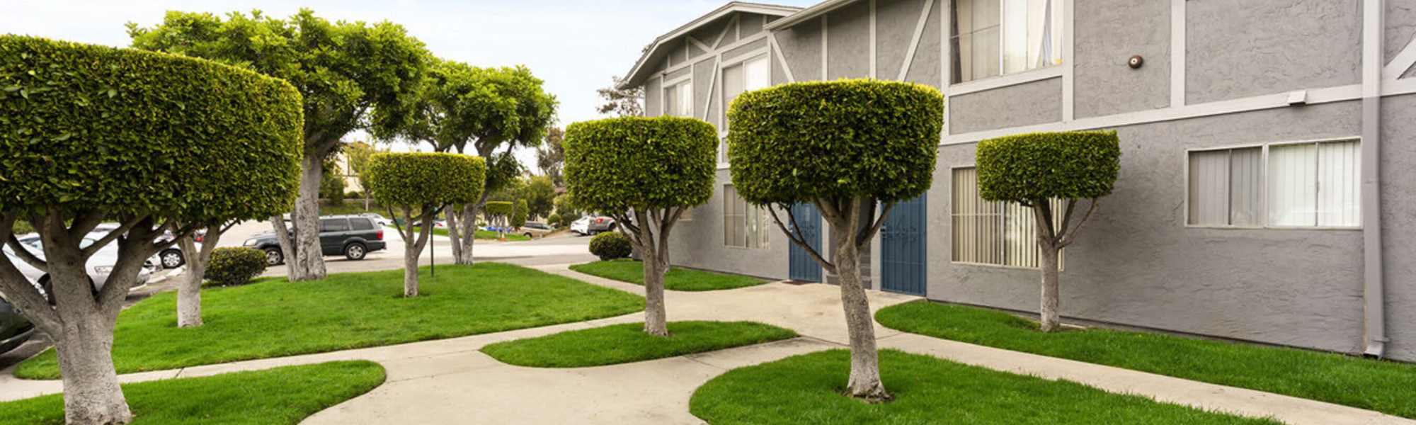 Location | View in San Diego, California