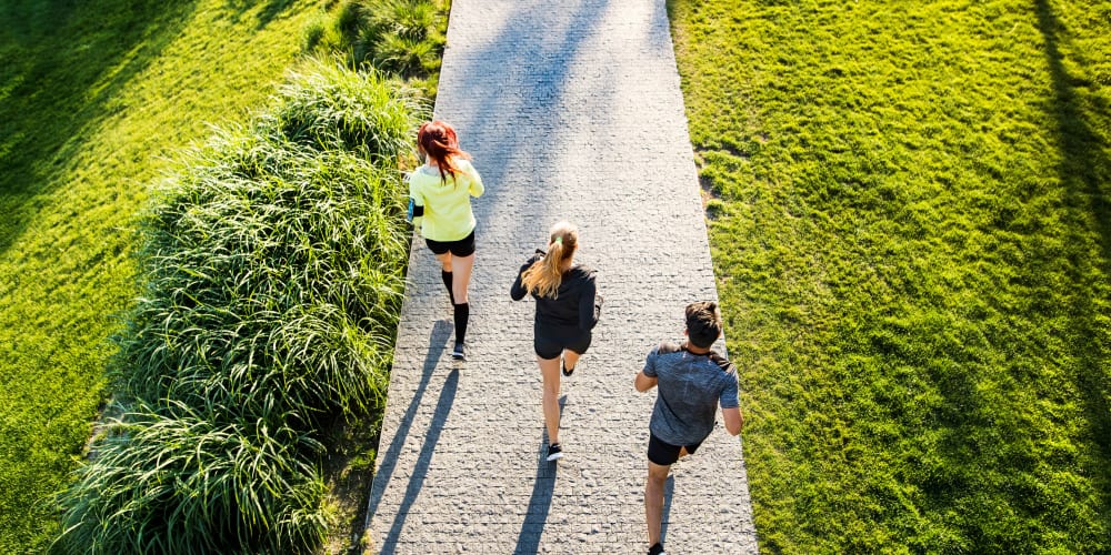 residents walking near Farmstead at Lia Lane in Santa Rosa, California