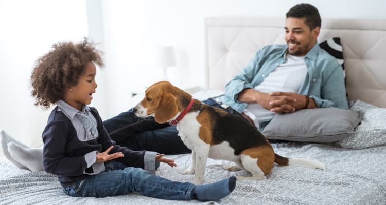 Residents and their dog loving their new home at Valley Farms in Louisville, Kentucky
