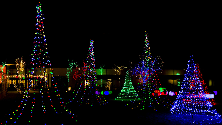 Holiday tree lights on display during the nighttime