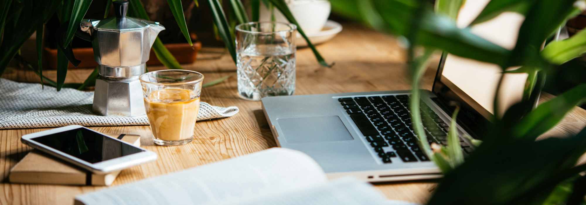 Privacy policy of Skyecrest Apartments in Lakewood, Colorado 