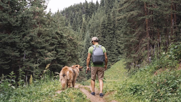 man and dog hiking | hiking trails near Fort Worth