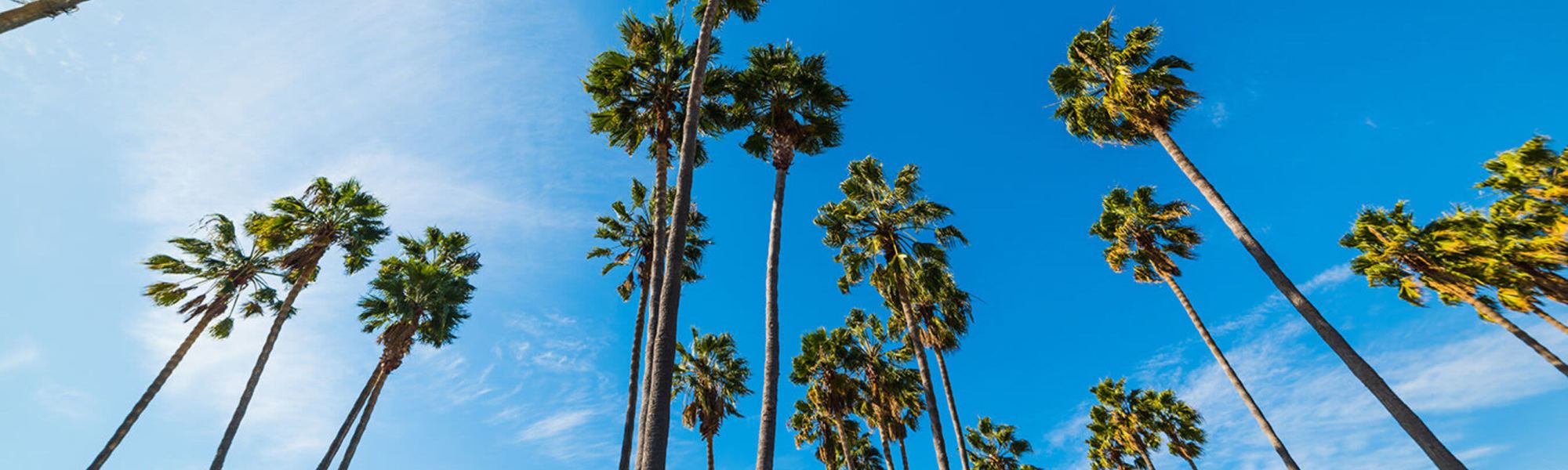 Location | Valle at Park in Escondido, California