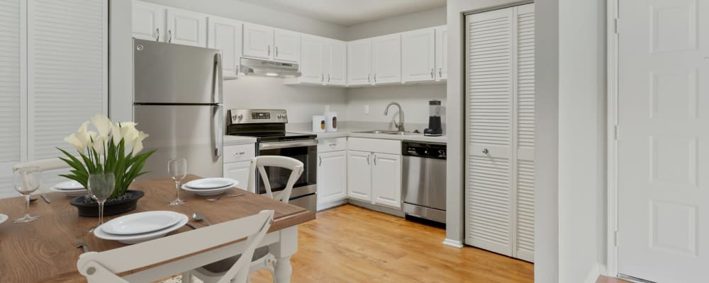 Tan kitchen cabinets in an apartment kitchen at Mode at Ballast Point in Tampa, Florida