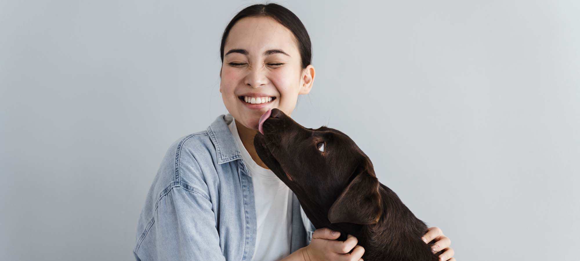 Pet Friendly at Hawthorn Village Apartments in Napa, California 