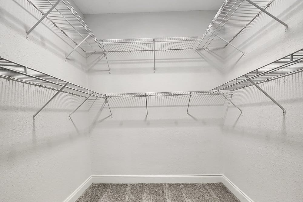 Walk-in Closet with Shelves 