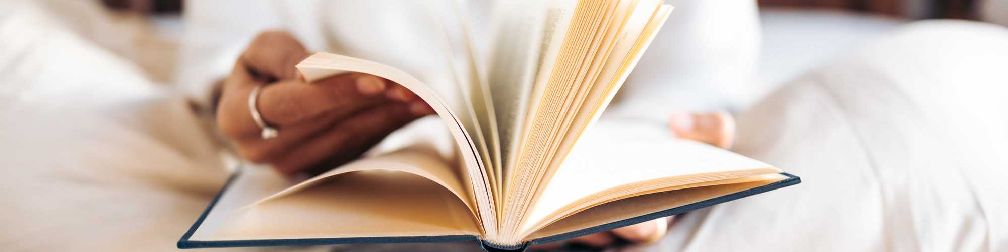 Photo Gallery | SETH I in Boston, Massachusetts