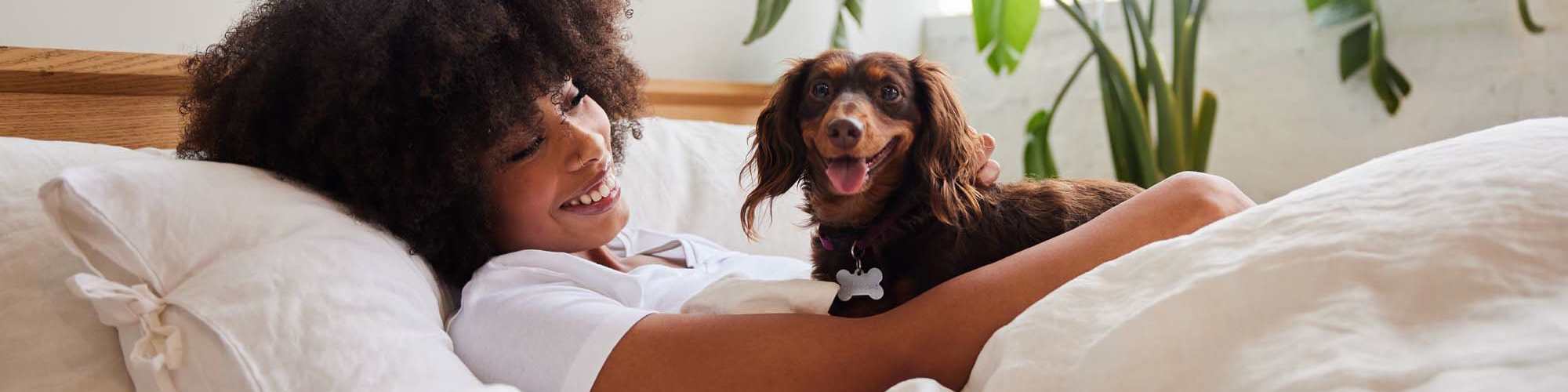Pet-Friendly | Willowbrook I in Lafayette, Louisiana 
