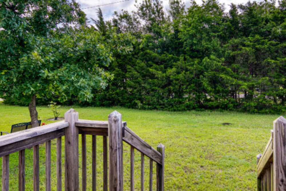 View of the lawn with full of greenery at IC Creek Ranch in Leonard, Texas