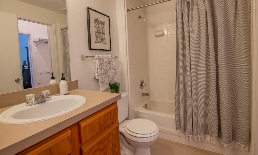 An apartment bathroom at The Pointe of Ridgeland in Ridgeland, MS
