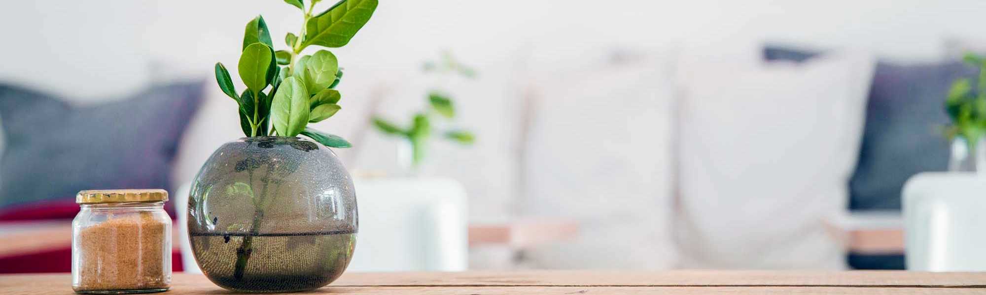 Resident portal at Bay Terrace in Baytown, Texas